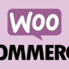 WooCommerce - geen betaalmethoden beschikbaar